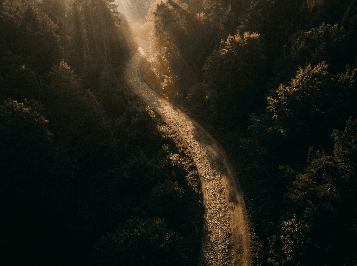 The Longevity Blueprint